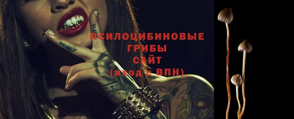 МДПВ Алзамай