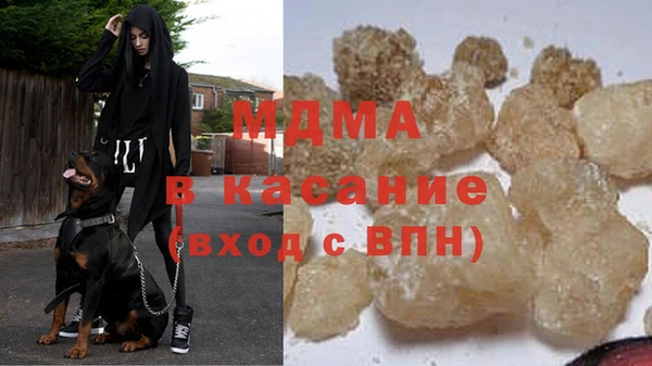 гашик Алексин