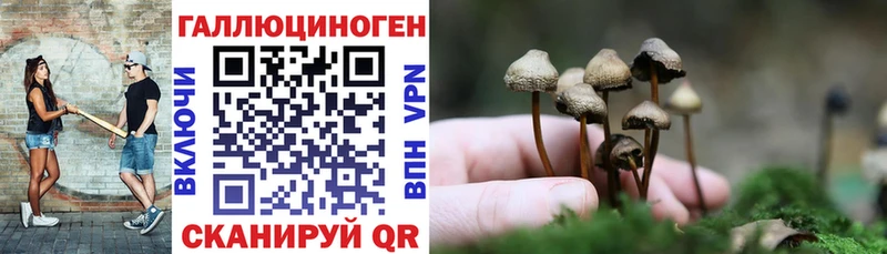 Галлюциногенные грибы MAGIC MUSHROOMS  Шали 